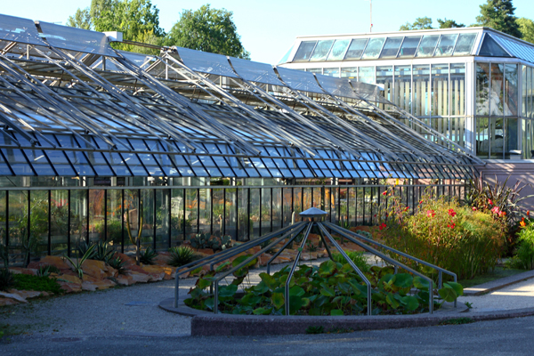 الحديقة النباتية Botanique