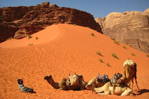 رحلات السفاري في الصحراء 