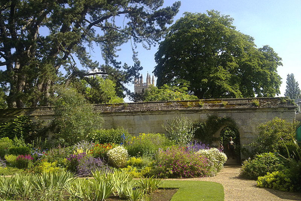 حدائق جامعة أكسفورد النباتية