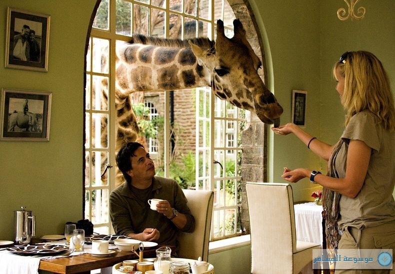 giraffe-manor-8[2]