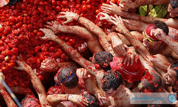 Revelers fight for tomatoes during the annual food fight, the Tomatina, in the town of Bunol, Spain, Wednesday, Aug. 27, 2008. Each year thousands of people gather to hurl truckloads of tomatoes at each other. Local lore says it began in the mid-1940s with a food battle that broke out between youngsters near a vegetable stand on the town square in Bunol. (AP Photo/Fernando Bustamante)