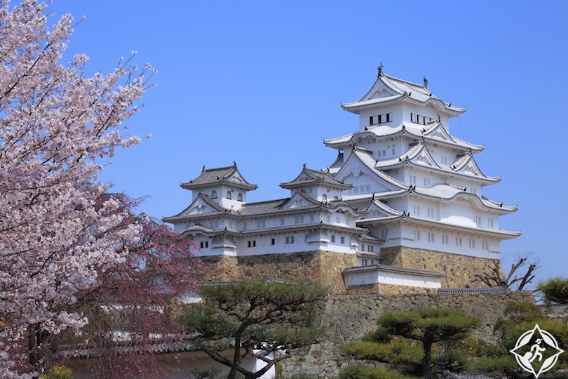 himeji-castle-and-cherry-blossom-2