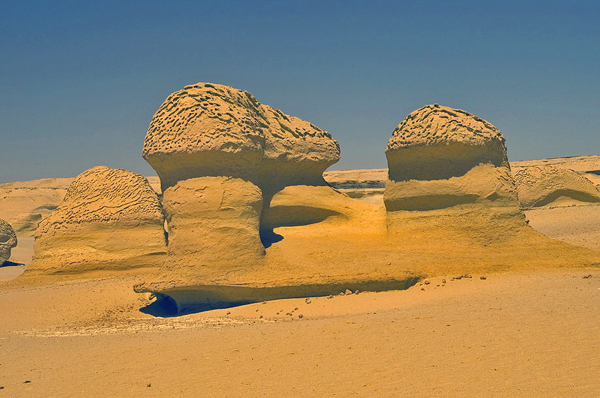 وادي الحيتان، الفيوم ـ مصر