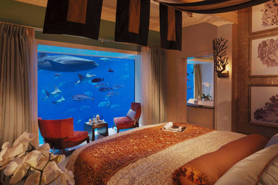 غرف فندق اتلانتس دبي