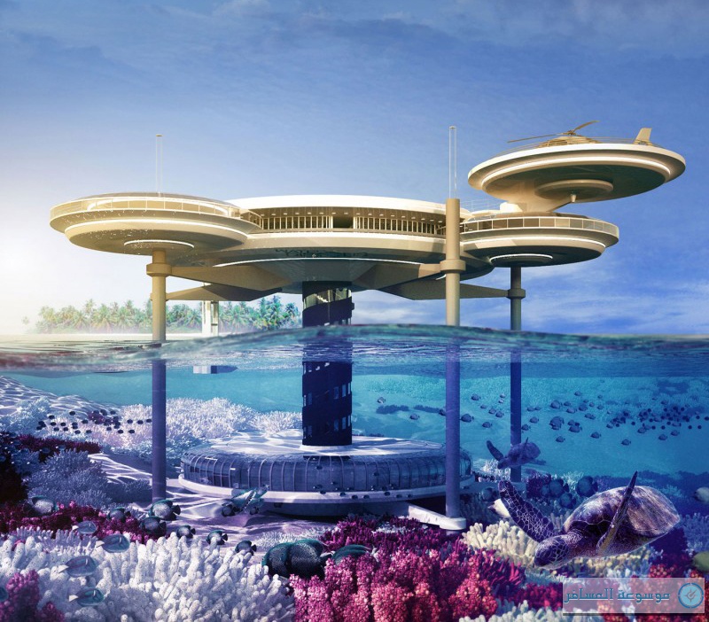 “الأحواض” و”أعماق المحيط” تناقشان مشروع إنشاء فندق عائم