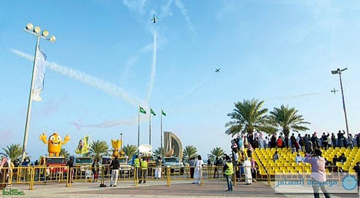 saudi-hawks