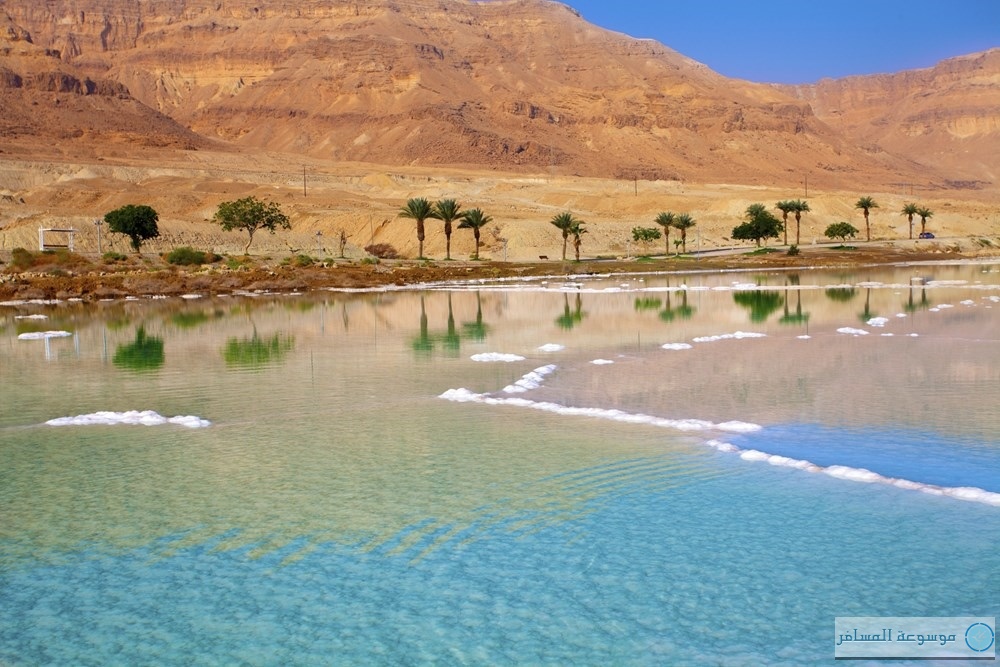 صور البحر الميت