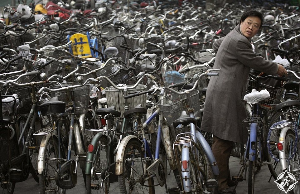 بحر من العجلات 