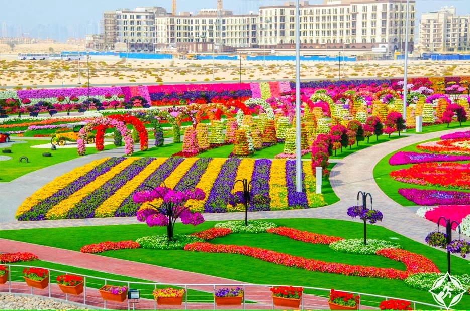 شاهد حديقة الزهور في دبي في 20 صورة مذهلة
