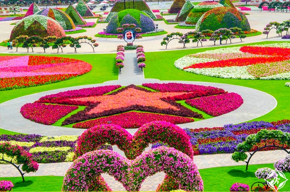 شاهد حديقة الزهور في دبي في 20 صورة مذهلة