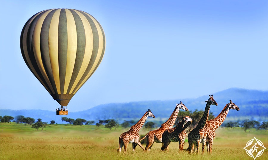 السياحة في كينيا - محمية ماساي مارا الوطنية