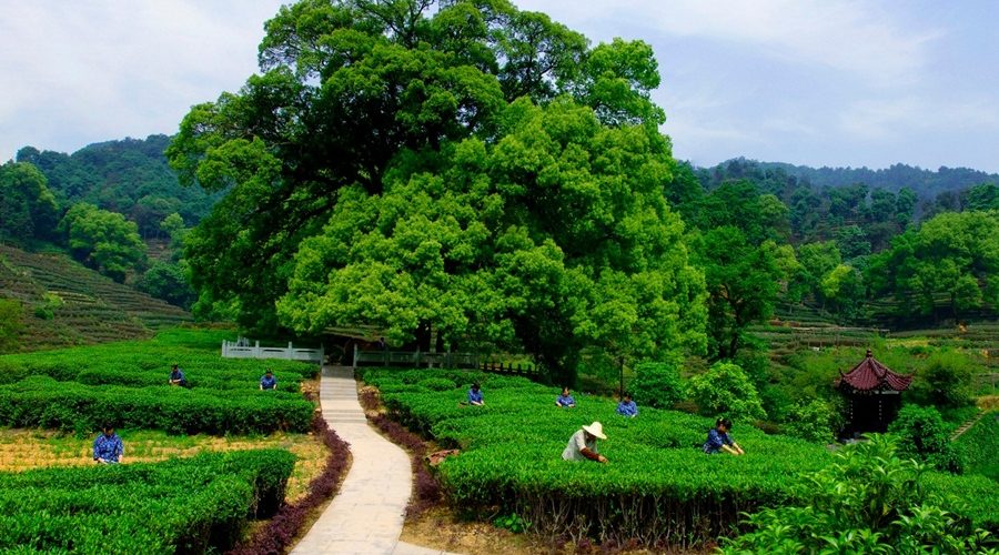 ���� ���� ������ �� ���� ������