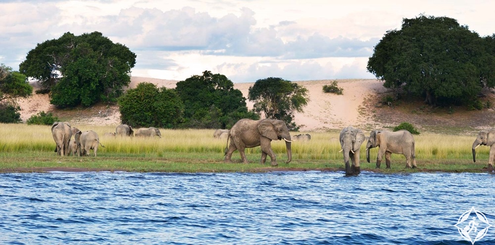 أفريقيا - بحيرة تنجانيقا