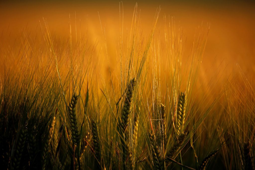 صور رائعة