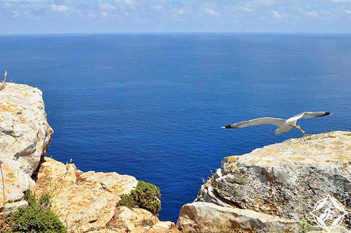 جزيرة فورمونتيرا