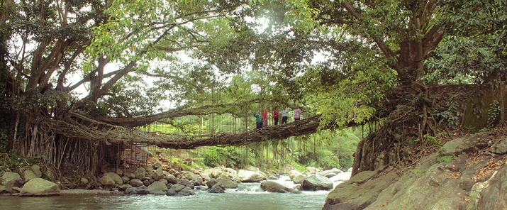 9.-Bung-Hatta-Nature-Reserve.jpg